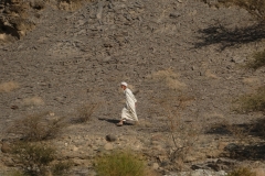 P1120674