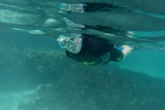 DCIM103GOPROGOPR6050.