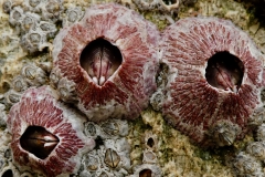 P1110669