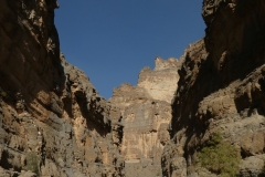 P1120542