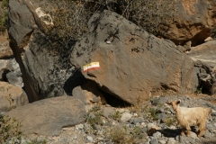 P1120559