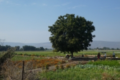 P1100317