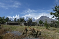 P1060641