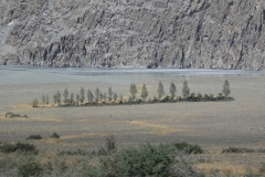 P1060658