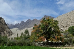 P1060708