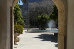P1010779
