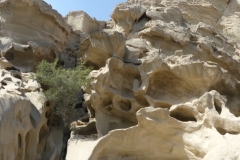 P1020048