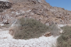 P1020200