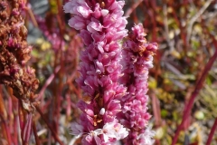 P1060885