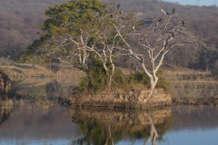 P1100394