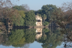 P1100405