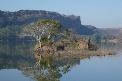 P1100446