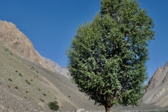 P1050923