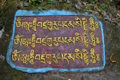 P1080245