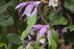 P1080275