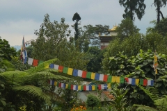 P1080276