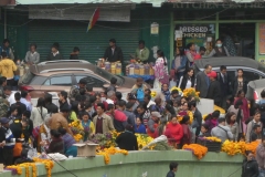 P1080385