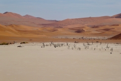 P1040478
