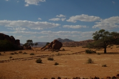 P1040306