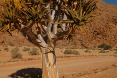 P1040320