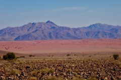 P1040392