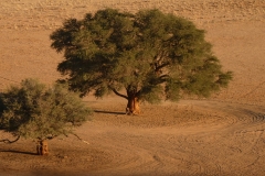P1040404