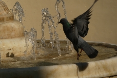 P1100193