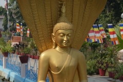 P1080876