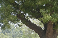 P1080883