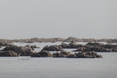 P1030401
