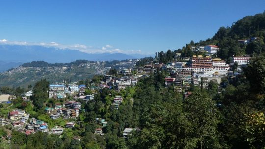 Darjeeling – das ist nicht nur eine Teesorte …