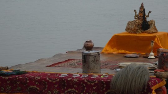 Varanasi … zwischen Sadhus und heiligen Kühen