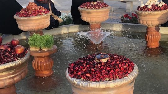 Nowruz mobarak !!!